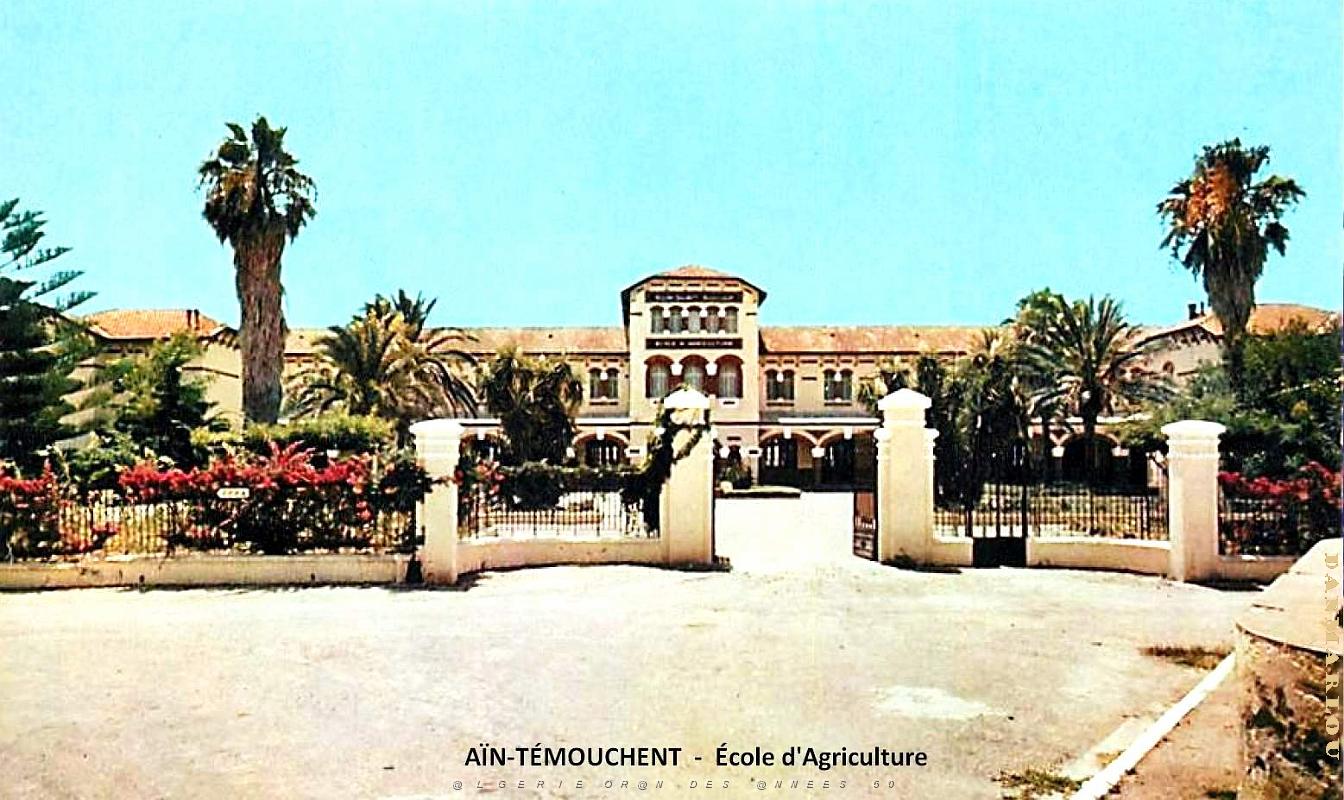 Ain-Temouchent - Ecole Agriculture.jpg